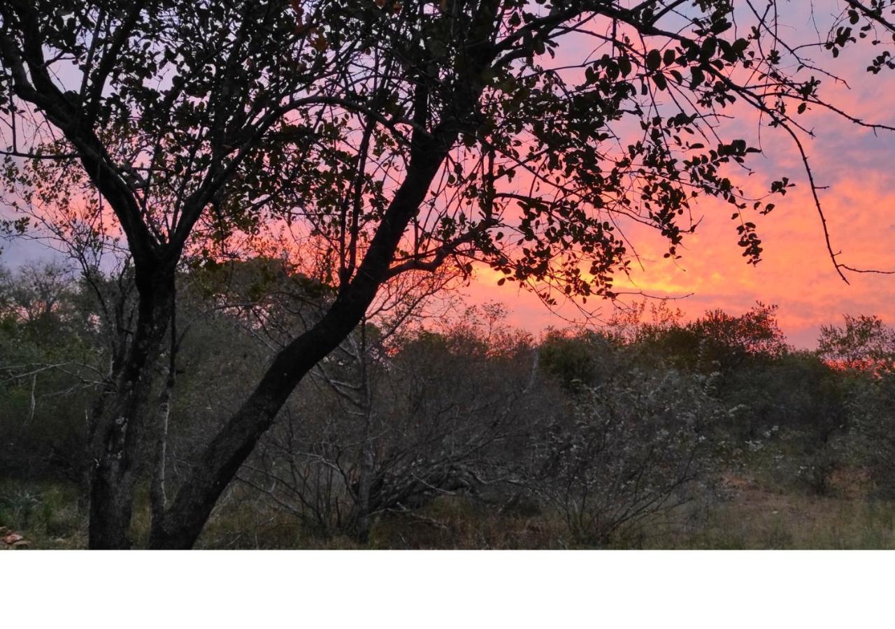 Lion King Villa Marloth Park Exterior foto